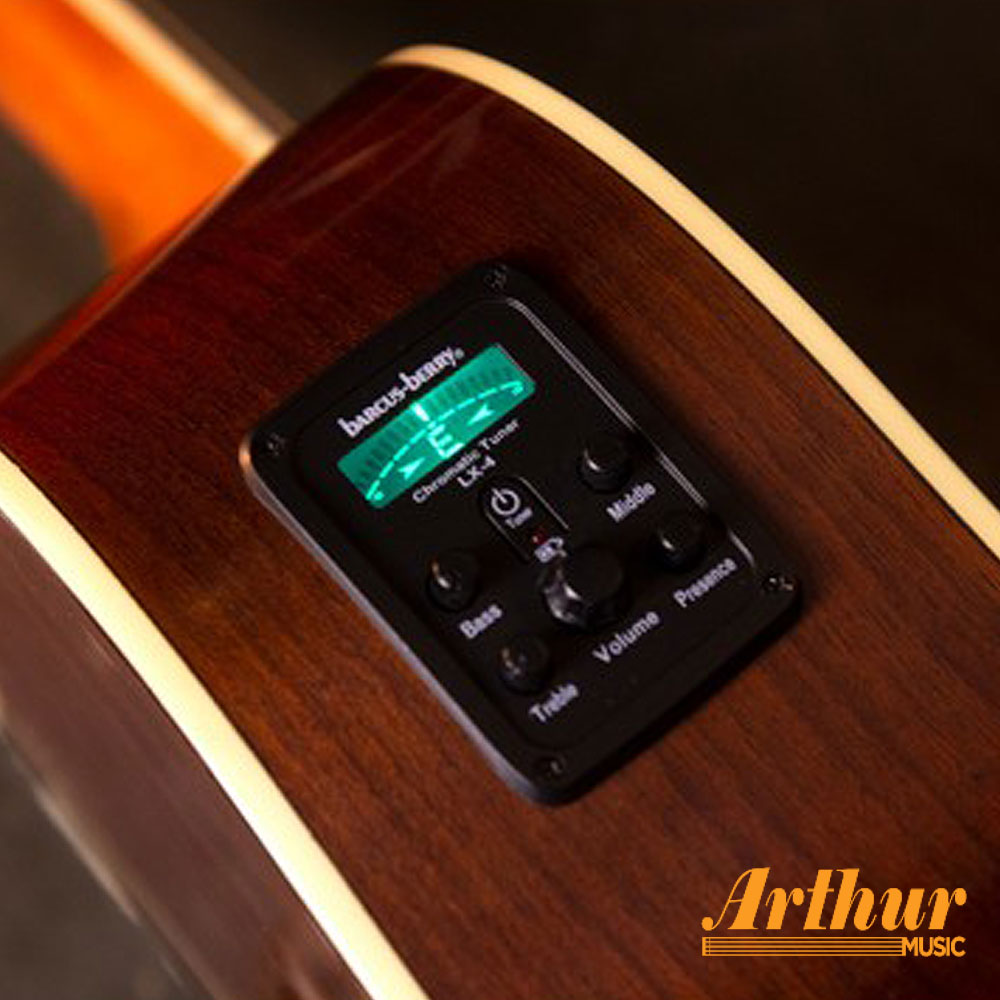 Washburn AG70CE A
