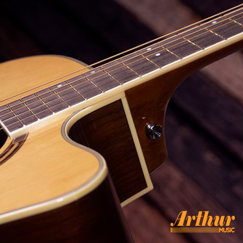 Washburn AG70CE A