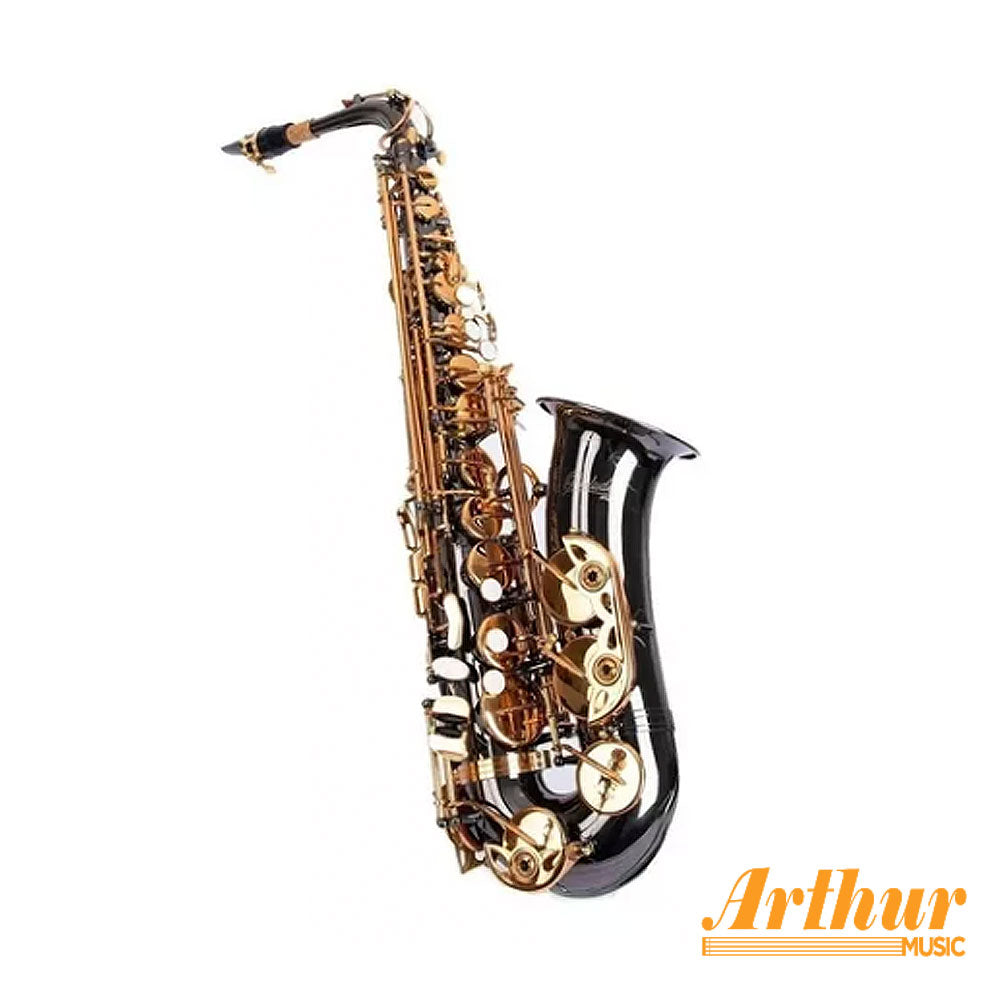 Saxofon Alto Negro Fontai Ft6430bn
