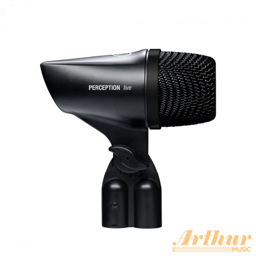 AKG P2
