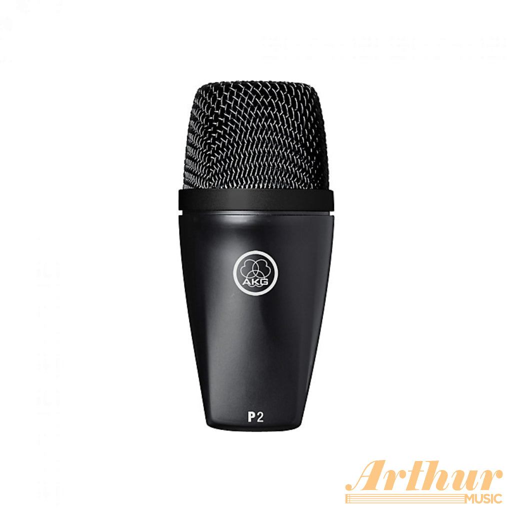 AKG P2