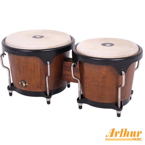 Bongo 5D2 Premio Series