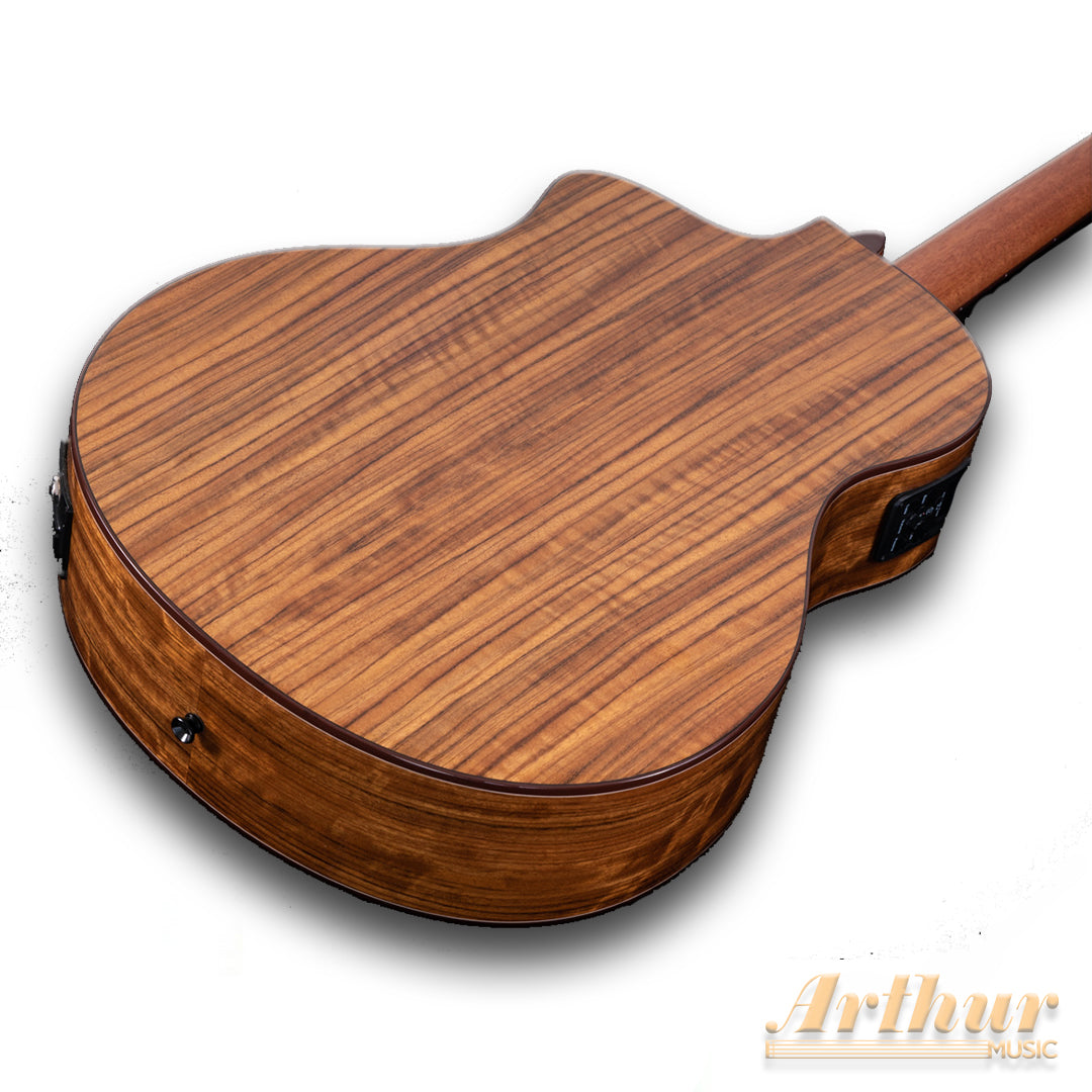 Washburn Bellatono Vite S9 V