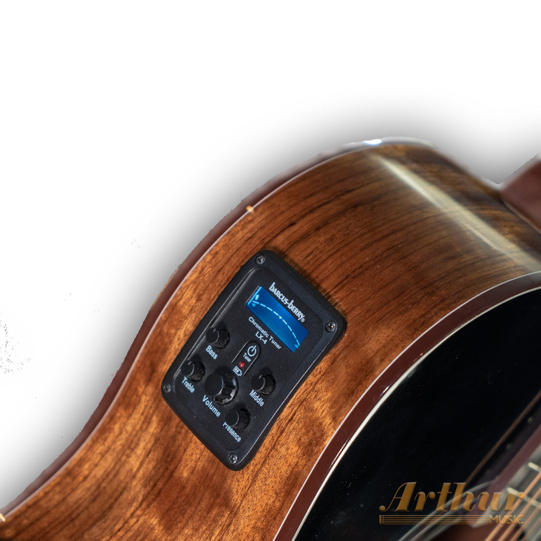 Washburn Bellatono Vite S9 V