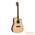 Washburn D10SCE