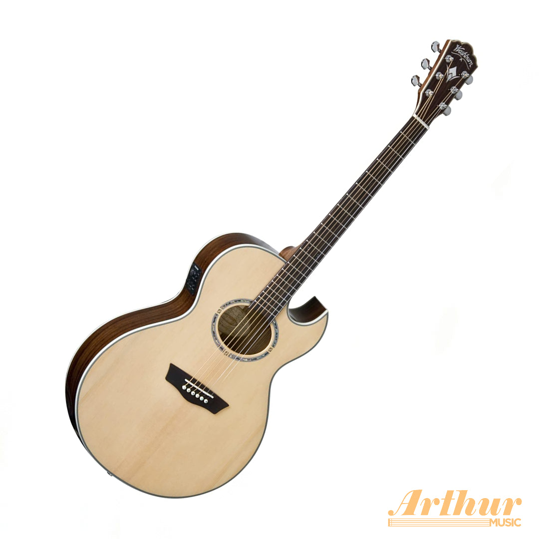 Washburn EA21