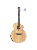 PALMER ARTIST LTD FCH VP