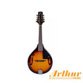 Mandolina  Sunburst Etinger Acústica 8 Cuerdas