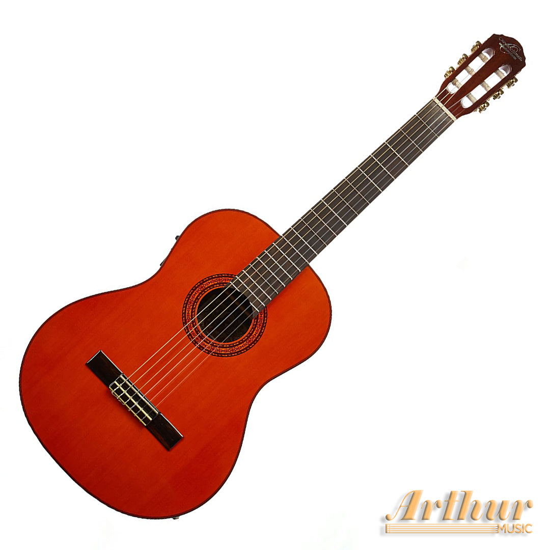 Washburn C9E