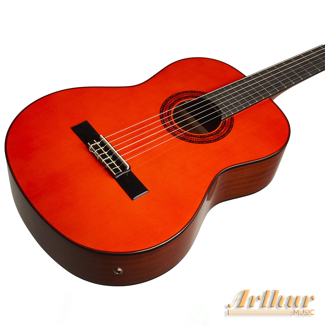 Washburn C9E