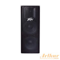 Peavey PVI215