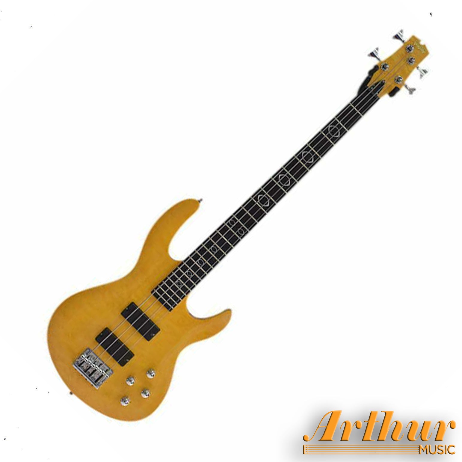 Palmer Magnum 4 QTN Activo