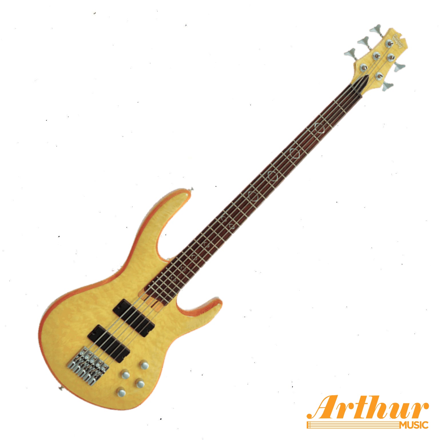 Palmer Magnum 5 QTN Activo