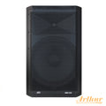 Peavey DM115