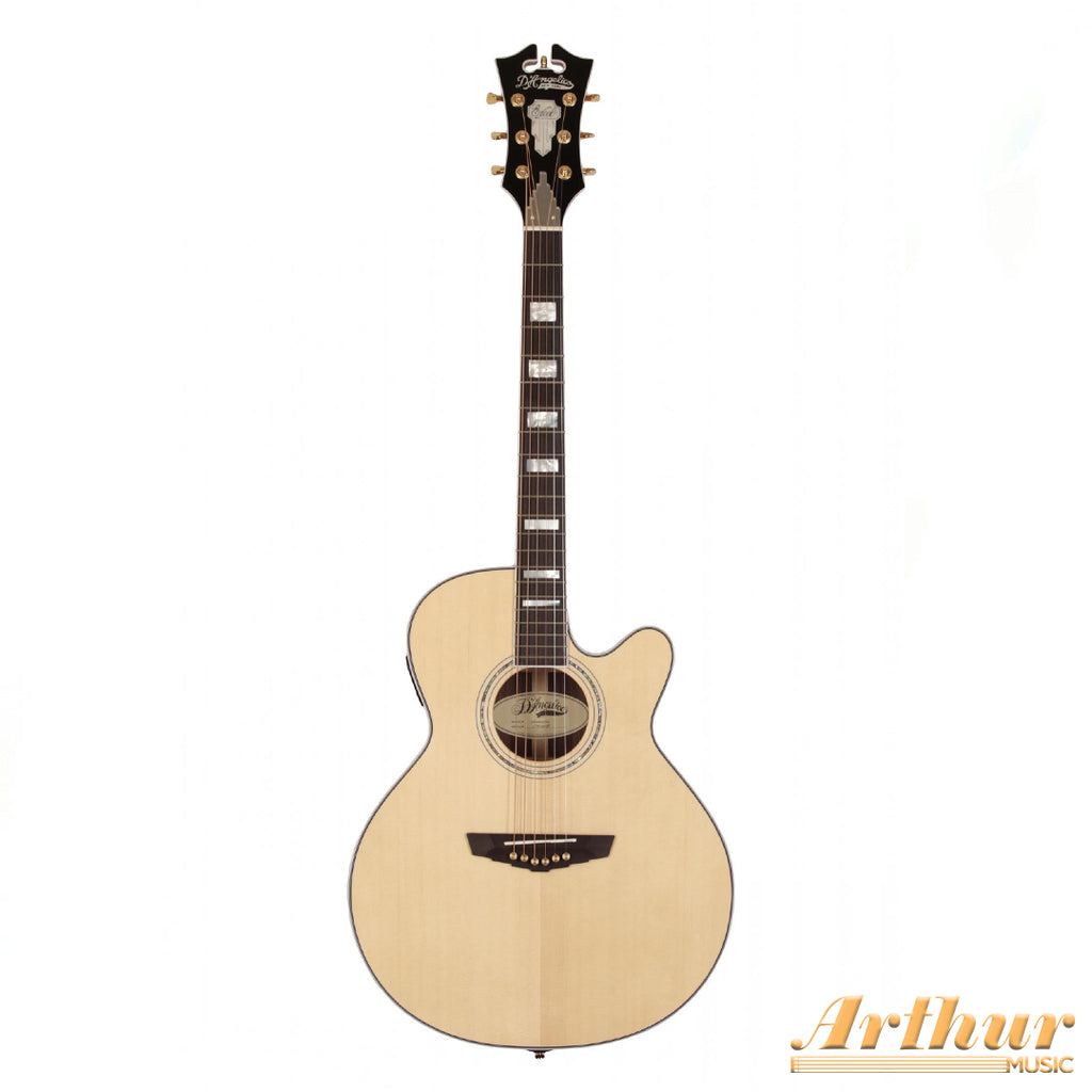 D'angelico SG200 Nat