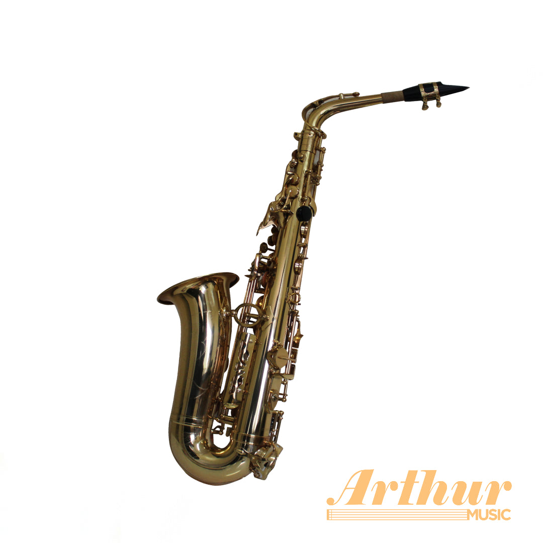 Saxo Alto Allegro Gold