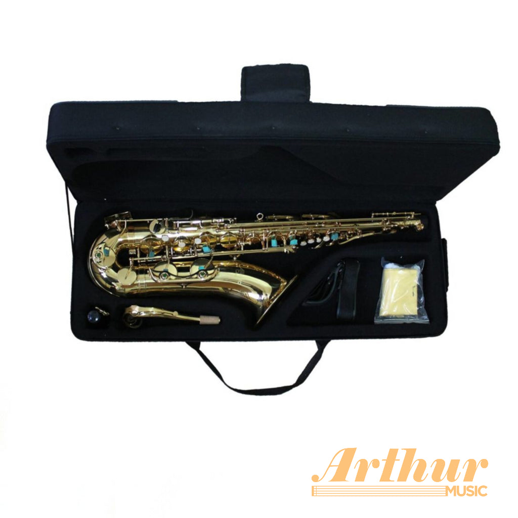 Saxo Alto Allegro Gold