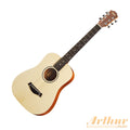 Taylor BT1