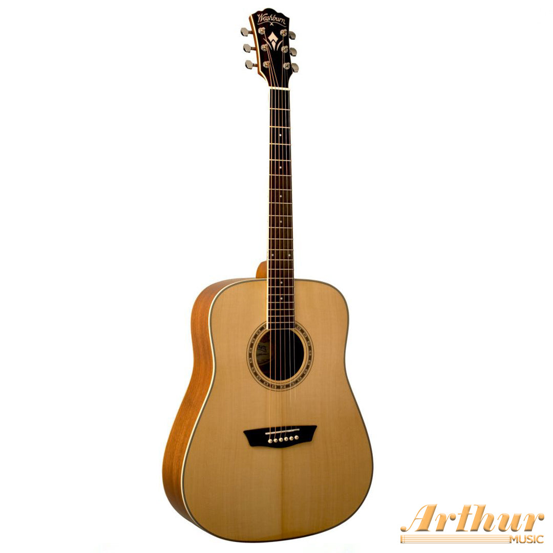 Washburn WD10