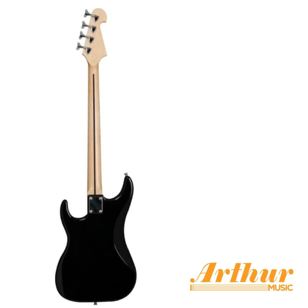 Washburn B1Pb
