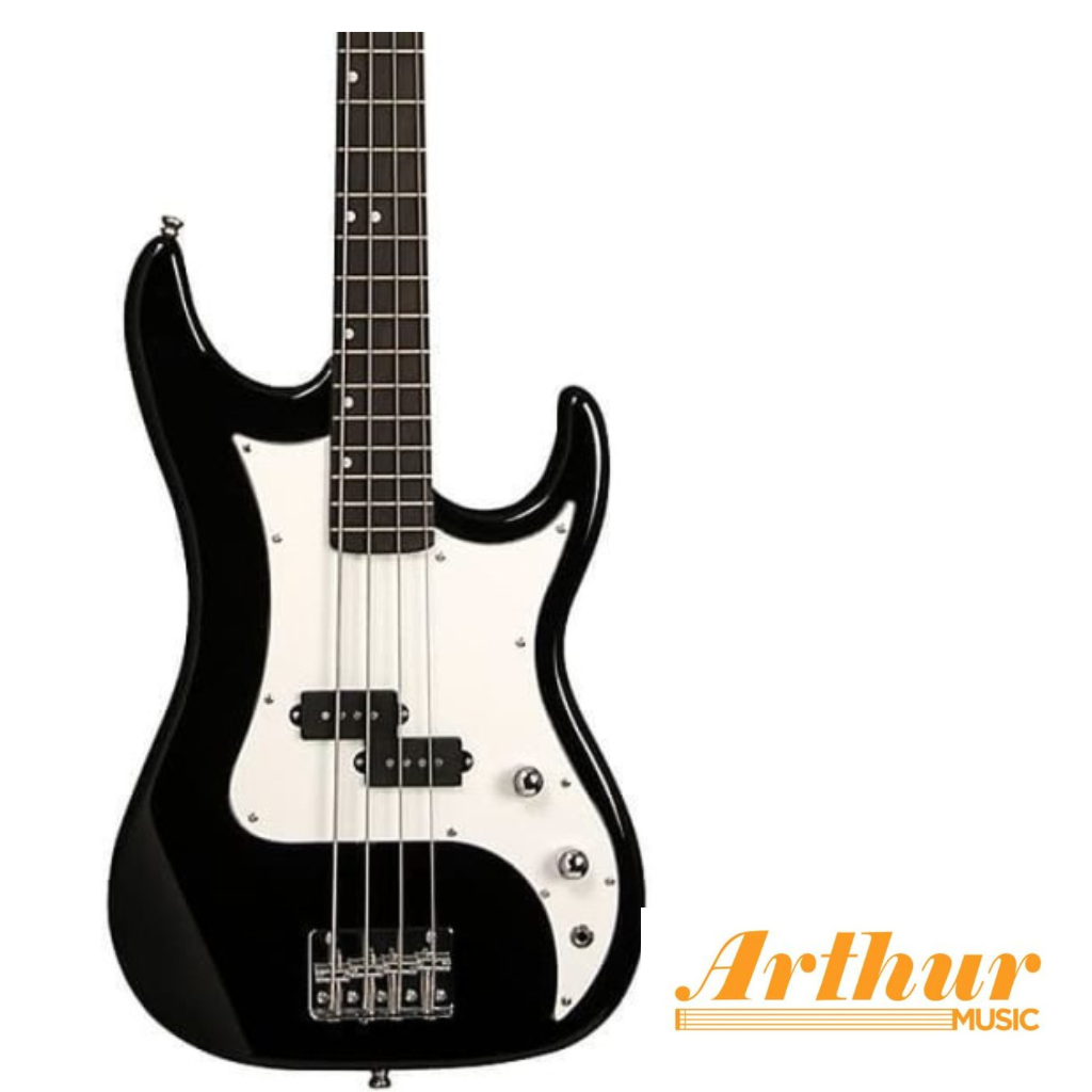 Washburn B1Pb
