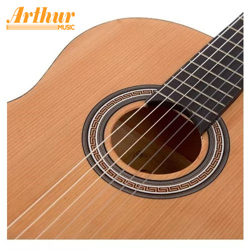 Creep Acústica Nylon
