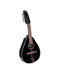 MANDOLINA ACUSTICA 10 CUERDAS MEISTEHAFT NEGRA (con funda)