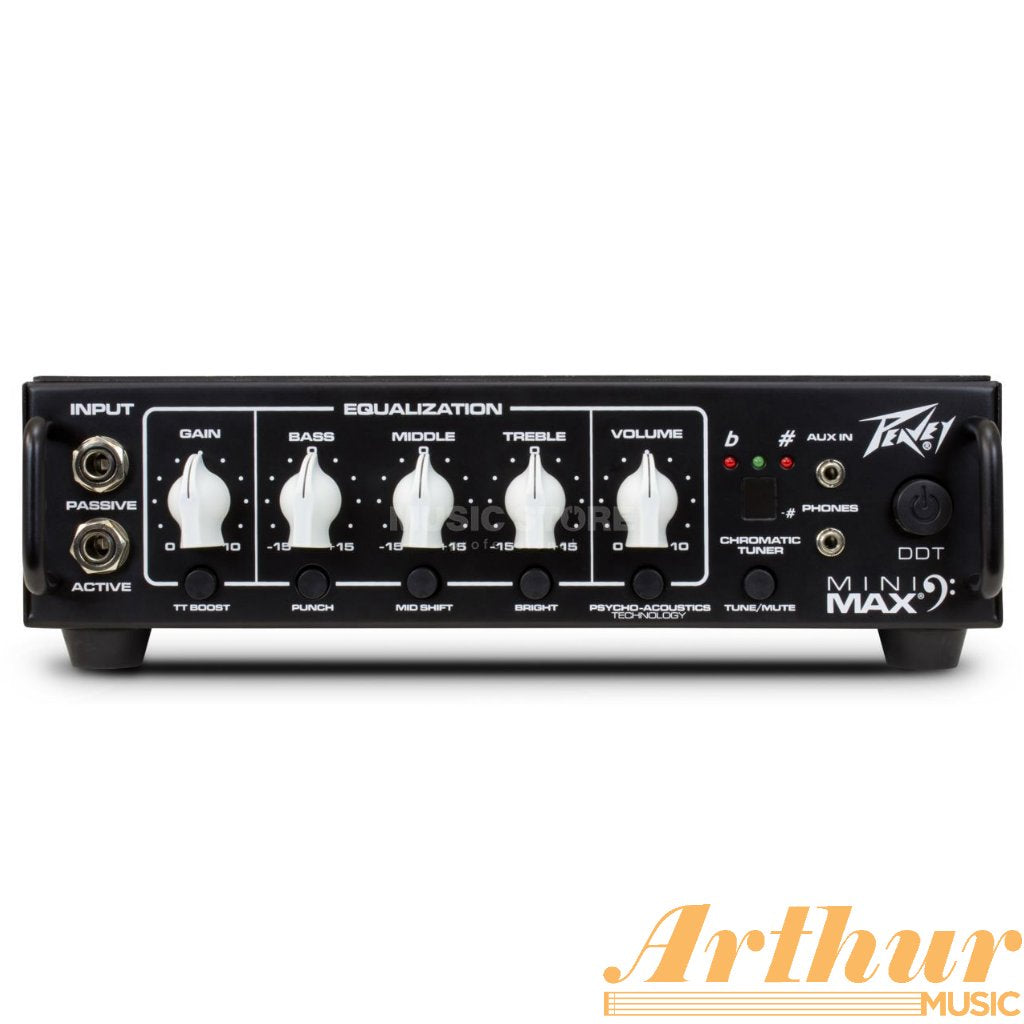 Peavey Mini MAX 500W