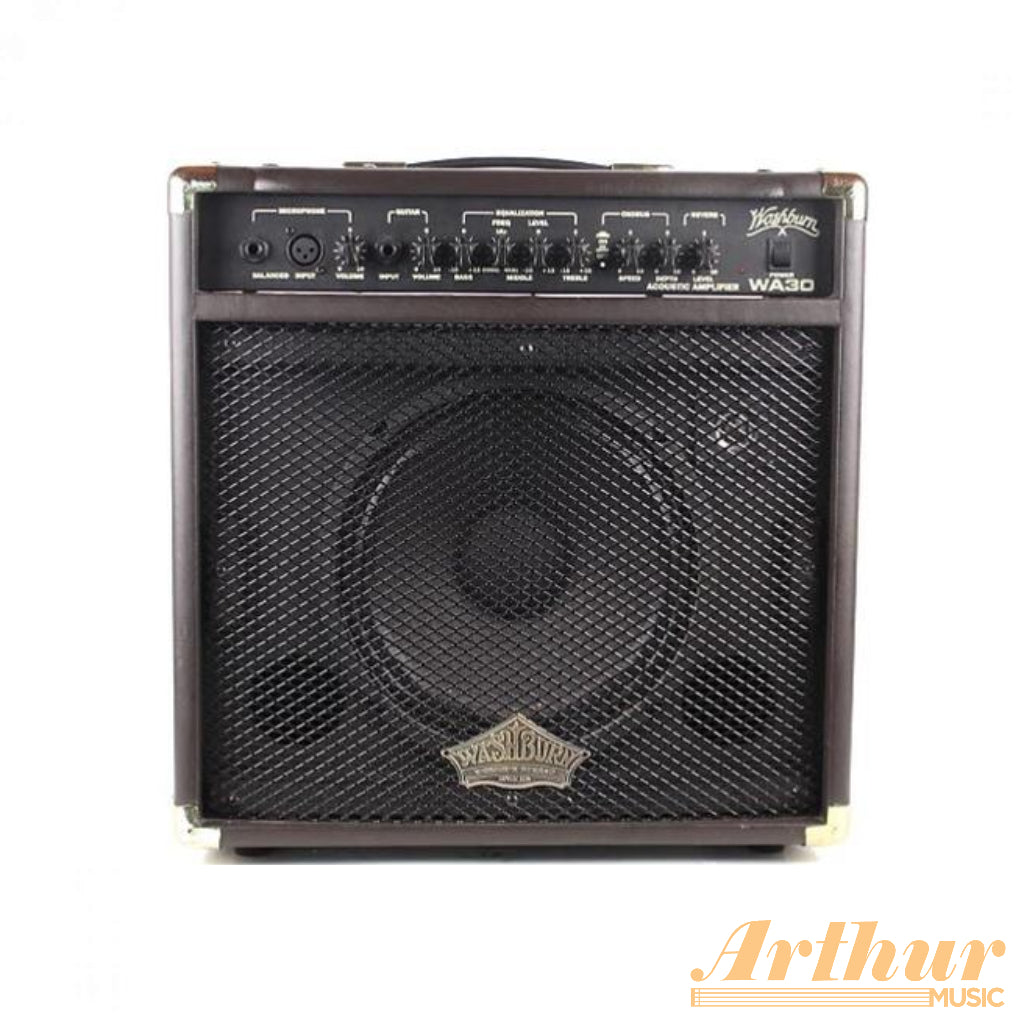 Washburn WA30